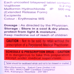 Voglibose & Metformin hydrochloride (extended release) 0.2/500mg