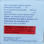Amoxycillin cap 250mg